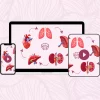 Longevity Életerő-Vitalitás Online Csikung Tanfolyam - Image 2