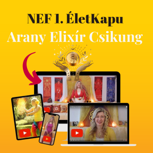 NEF 1. szintű élő online gyakorló óra részvétel