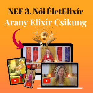 NEF 3. szintű élő online gyakorló óra részvétel