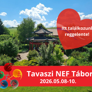 NEF Női Csikung 5 Elemes Tábor 2026