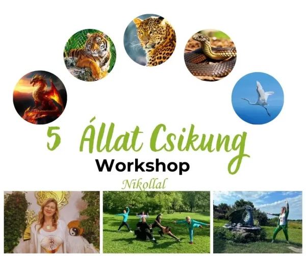 Wudang Csikung Alapozó workshop