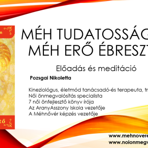 Méh Erő Ébresztő Előadás és Meditáció